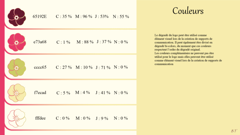 Charte_graphique_Plan de travail 1 copie 3